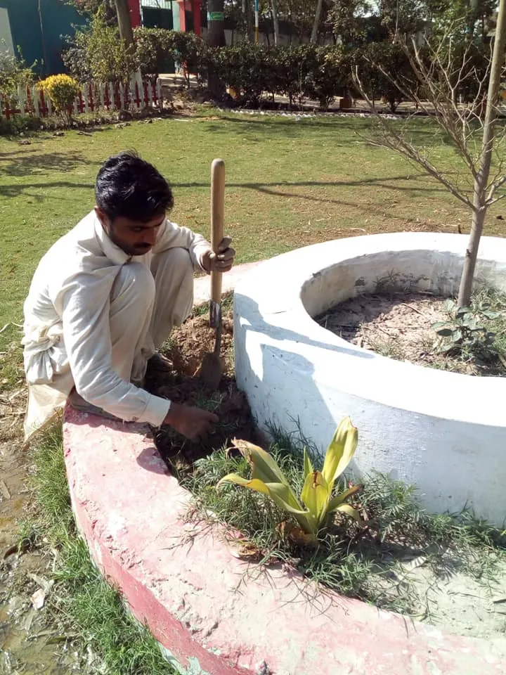 Green Seekers Activity